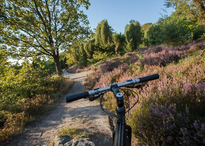 Park מלון סולטאו